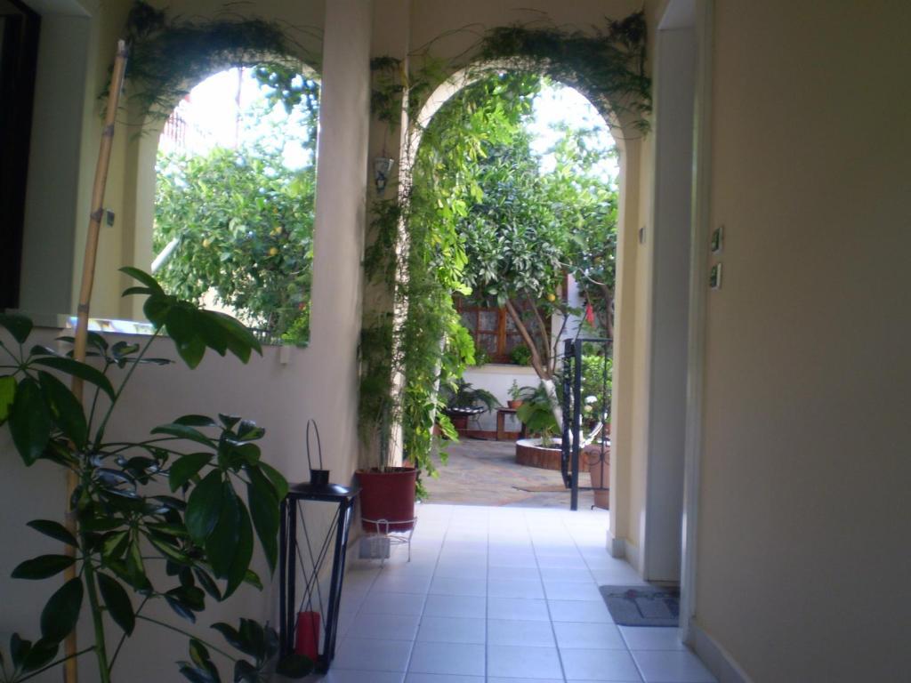 Studios Nopi-Zoi Skiathos Exterior foto