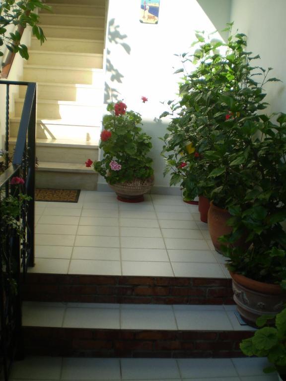 Studios Nopi-Zoi Skiathos Exterior foto